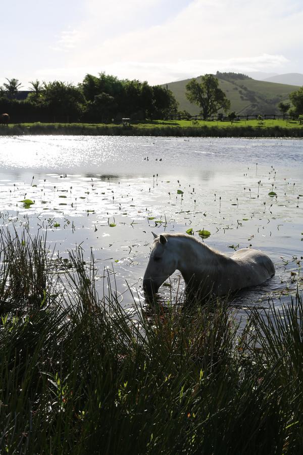 Hakuna Matata Game Farm Great Brak River Eksteriør bilde